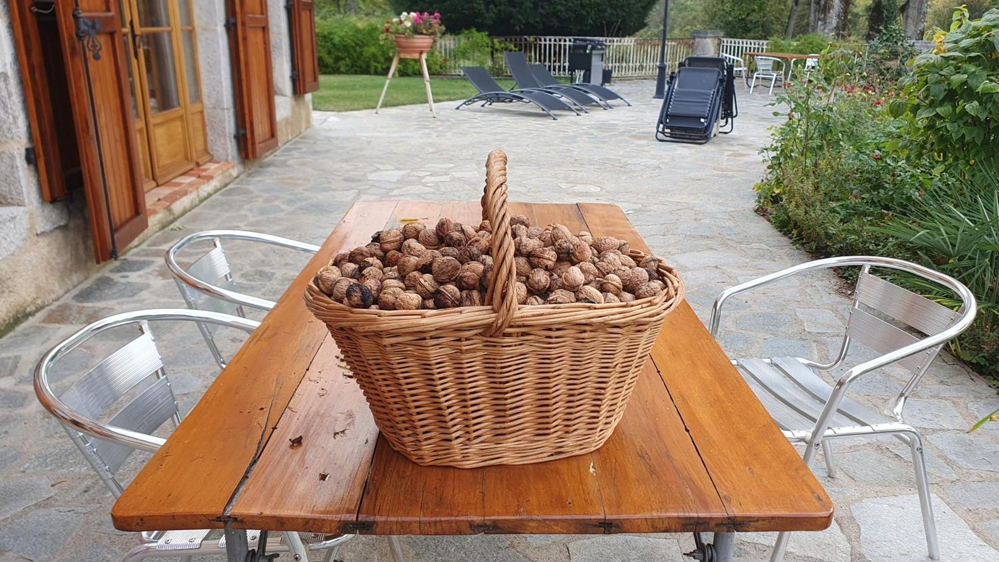 Domaine De Montvianeix Bed and Breakfast Saint-Victor-Montvianeix Εξωτερικό φωτογραφία