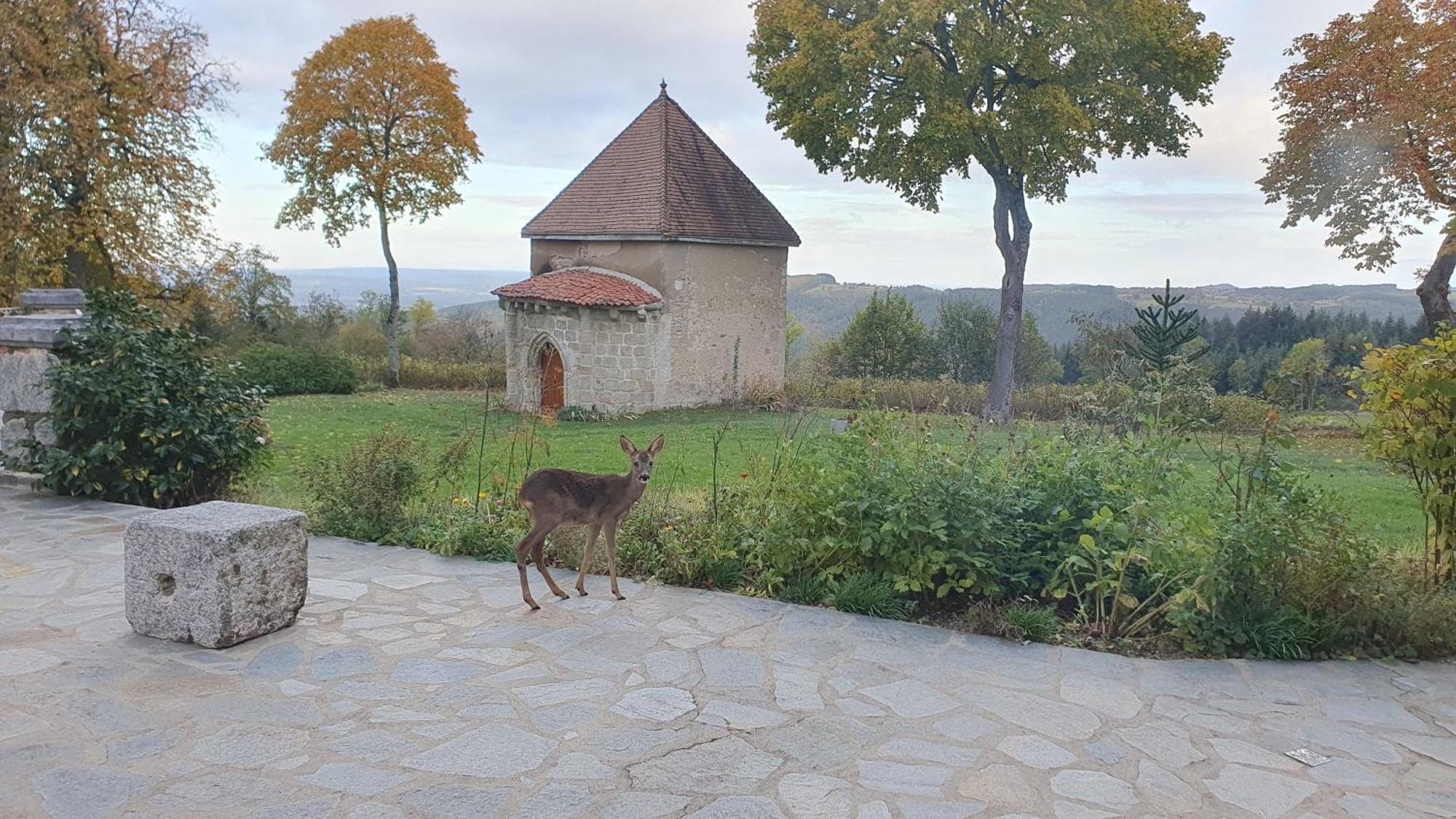 Domaine De Montvianeix Bed and Breakfast Saint-Victor-Montvianeix Εξωτερικό φωτογραφία